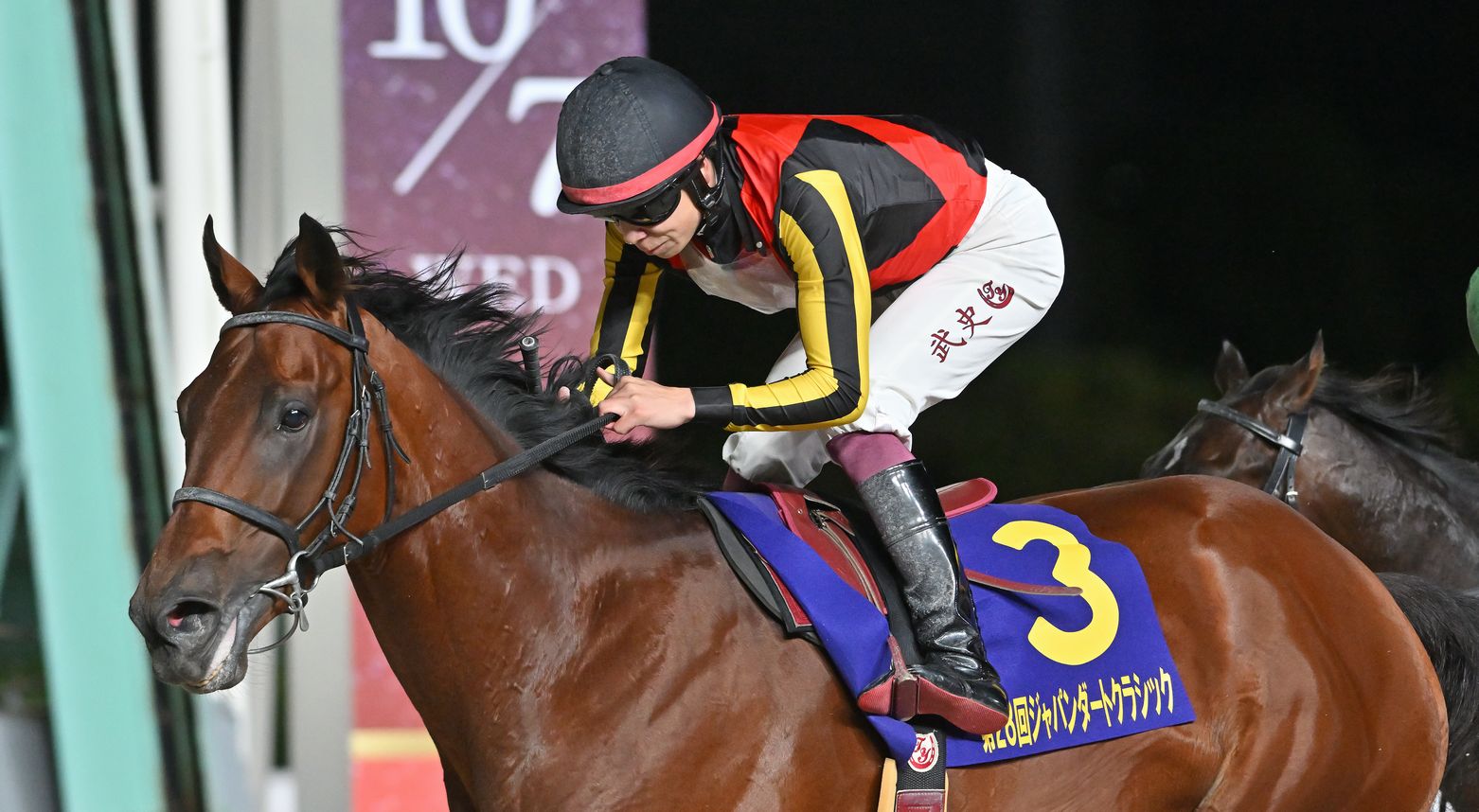 シルバーレシオがジャパンダートクラシック(Jpn1)を制覇