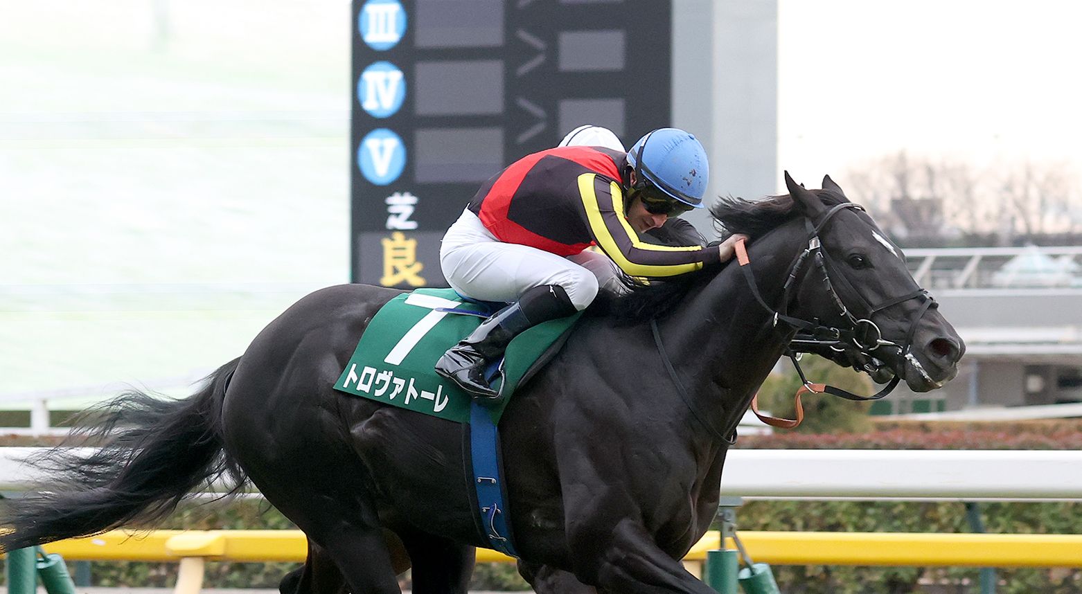 トロヴァトーレが東京新聞杯(G3)を制覇