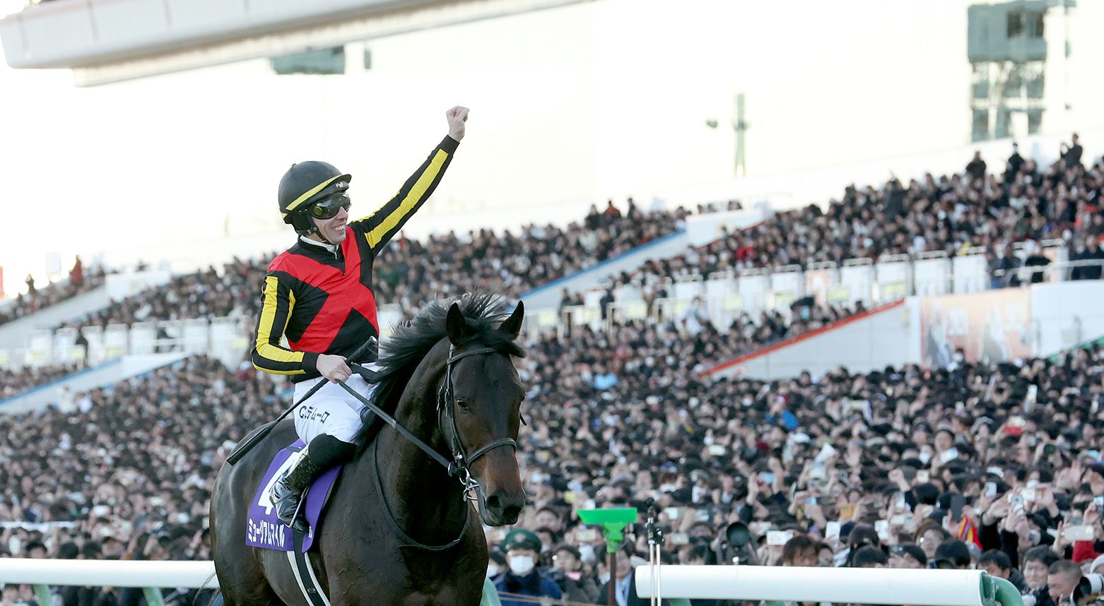 ミュージアムマイルが有馬記念(G1)を制覇