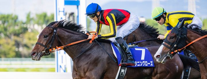 Sunday Thoroughbred Club サンデーサラブレッドクラブ