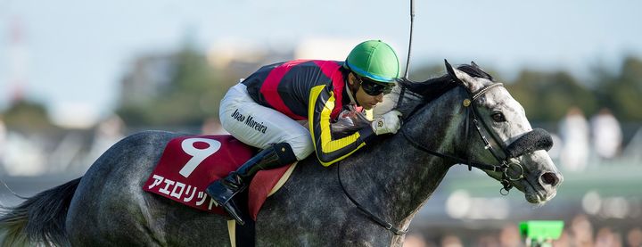 アエロリットが毎日王冠を制覇!