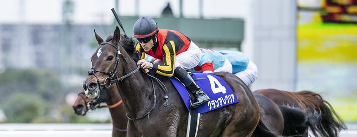 グランアレグリアがマイルチャンピオンSを制覇し、今年GⅠ3勝めを飾る!