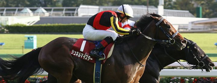 シュネルマイスターが毎日王冠を制覇!