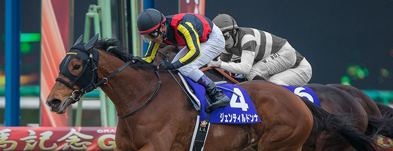 ジェンティルドンナが平成28年度顕彰馬に選定されました