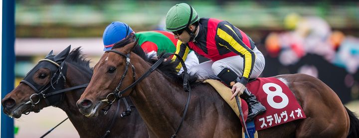 ステルヴィオがスプリングステークスを制覇!