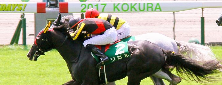 ソロルが小倉サマージャンプを制覇!
