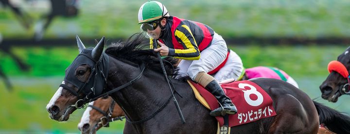 ダンビュライトが京都記念を制覇!