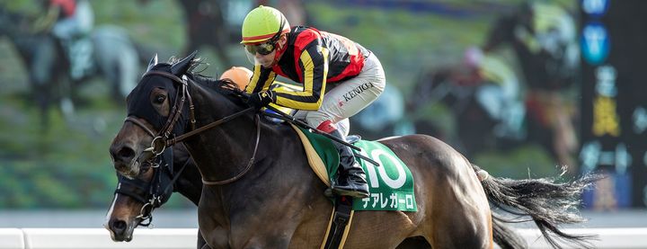 デアレガーロが京都牝馬Sを制覇!