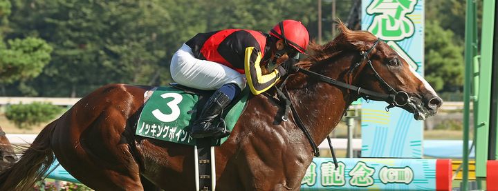ノッキングポイントが新潟記念を制覇!