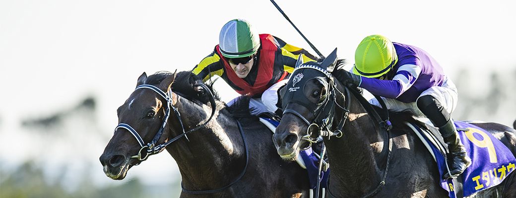 フィエールマンが菊花賞を制覇!