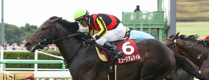 Sunday Thoroughbred Club サンデーサラブレッドクラブ