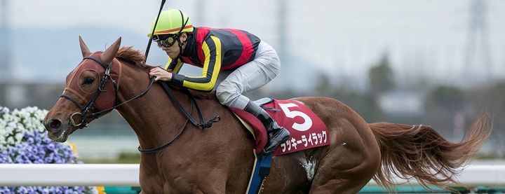 ラッキーライラックがチューリップ賞を制覇!