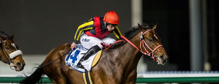 リアルスティールがドバイターフを制覇!