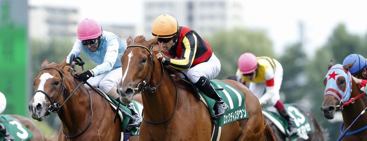 ロックディスタウンが札幌2歳ステークスを制覇!