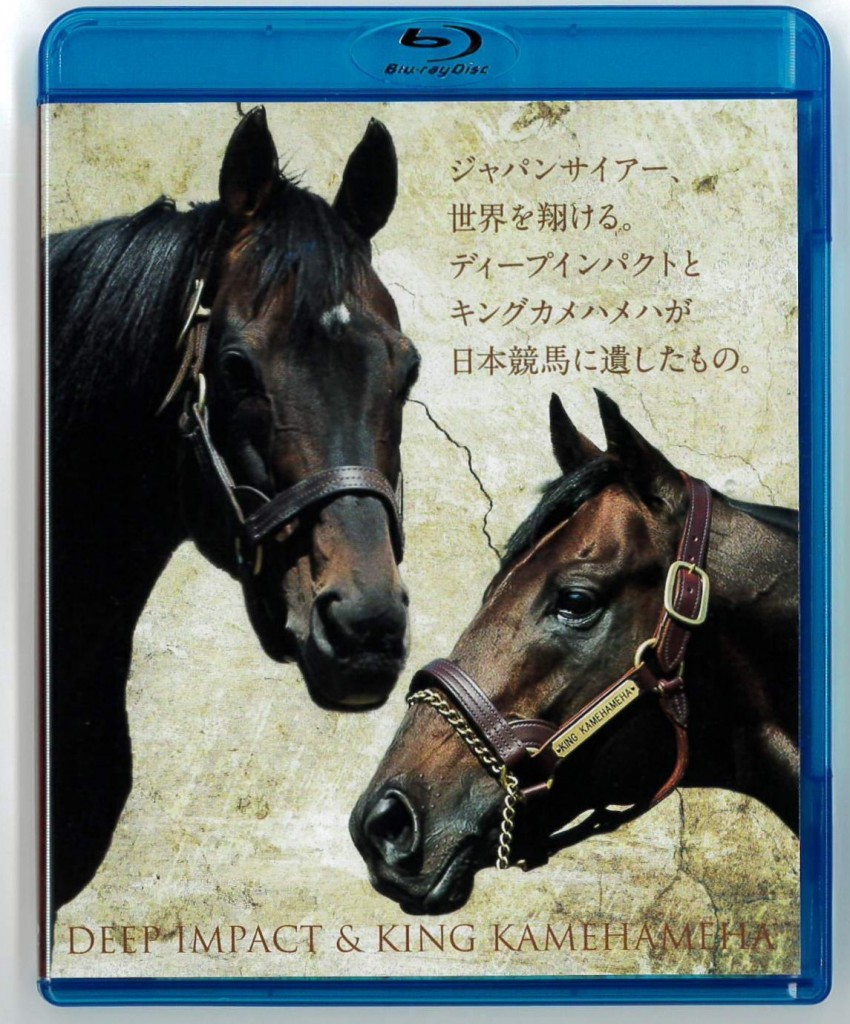 Sunday Thoroughbred Club サンデーサラブレッドクラブ