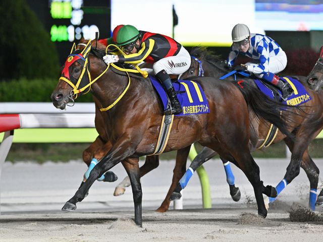 Sunday Thoroughbred Club サンデーサラブレッドクラブ