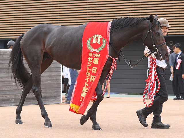 Sunday Thoroughbred Club サンデーサラブレッドクラブ